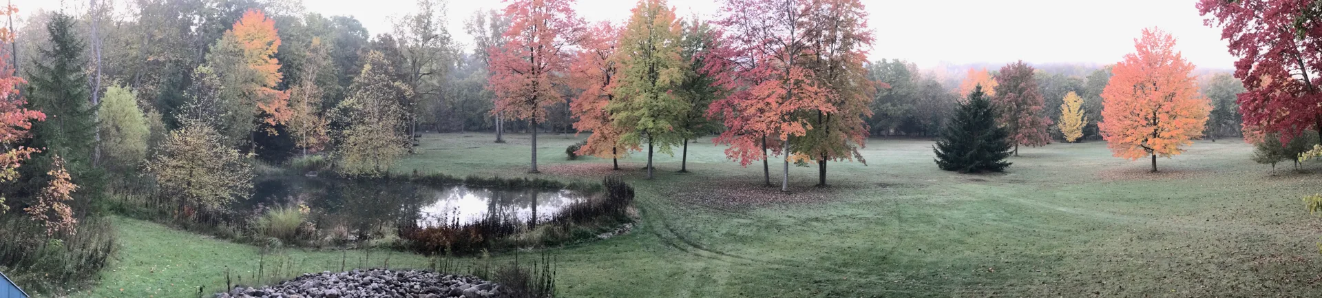 Panoramic view of autumn trees and the pond